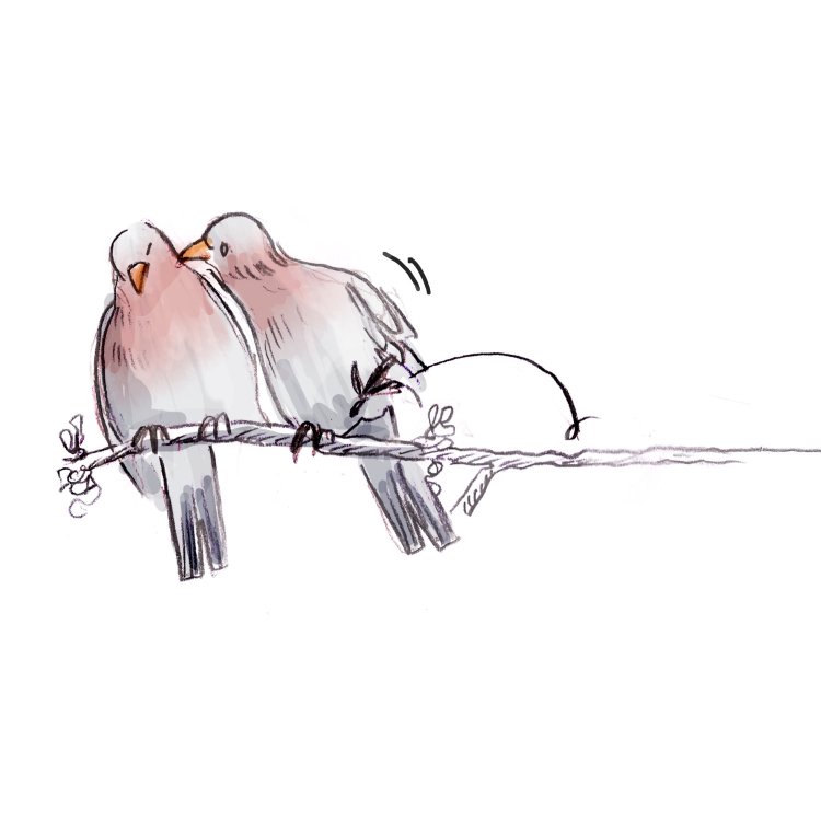  GWN - Drame pigeonnant. page 5