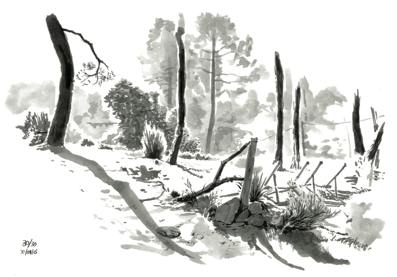 Paul B - De la topographie cévenolepage 30