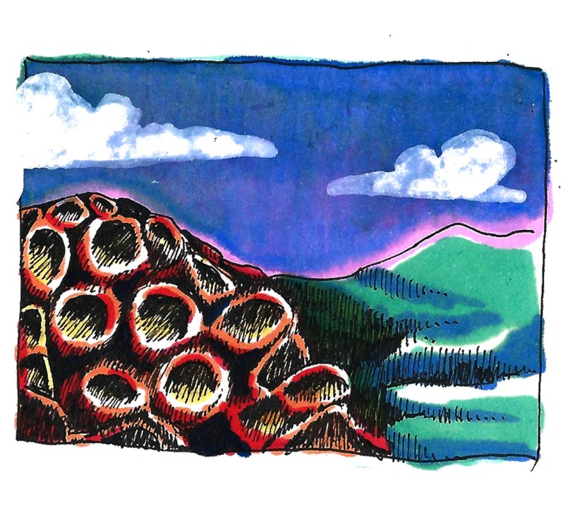 - Tom Cochien - Locked Outsidepage 5