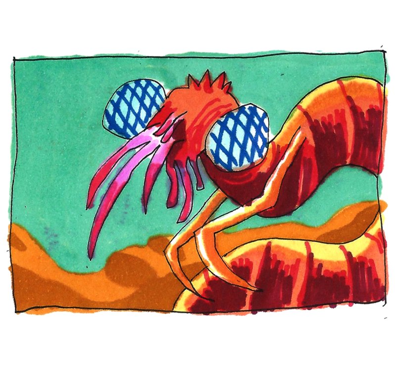 - Tom Cochien - Locked Outsidepage 9