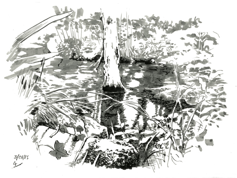 Paul B - De la topographie cévenolepage 4