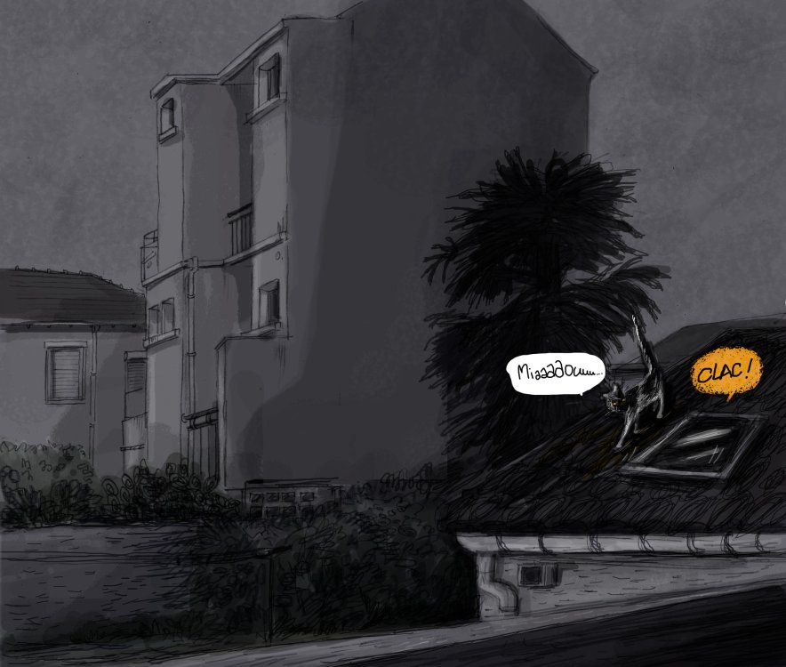  GWN - Confinement au balcon.page 10